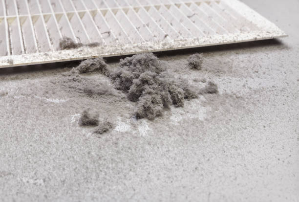 Ductwork Cleaning Services in Rockwood, TN
