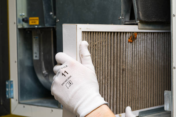 Best Best Air Duct Cleaning Company  in Rockwood, TN