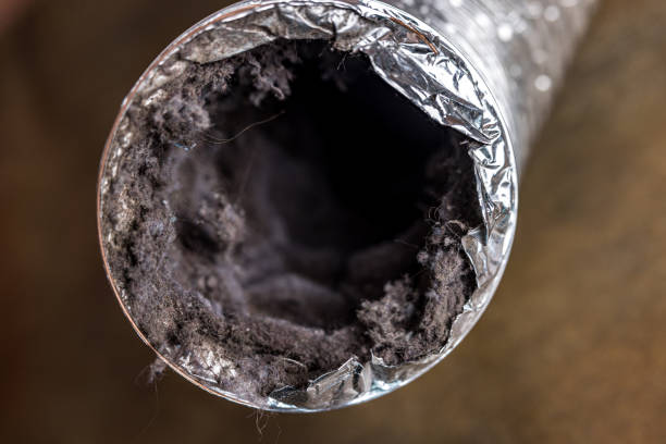 Best Air Duct Cleaning Near Me  in Rockwood, TN